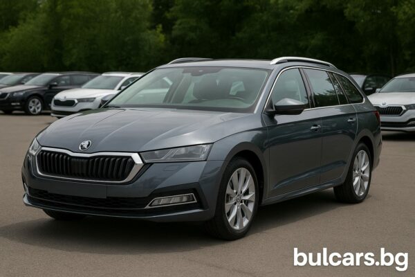 Skoda употребявани автомобили – кои са най-предпочитаните модели на вторичния пазар?